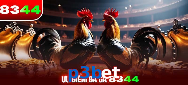 Thể loại đá gà p3bet được ưa chuộng 